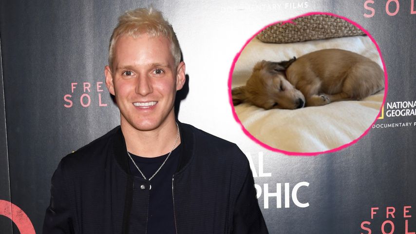 Atemnot wegen Welpe: UK-Star Jamie Laing ist im Krankenhaus