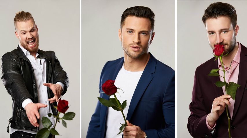 Collage: Jan Classen, Sebastian Mansla und Christian Hesse