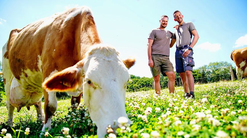 Intensive Gefühle und erste Küsse bei "Bauer sucht Frau"!