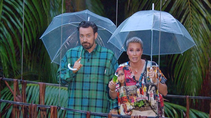 Diese drei Dschungelcamp-Stars ziehen ins große Finale ein