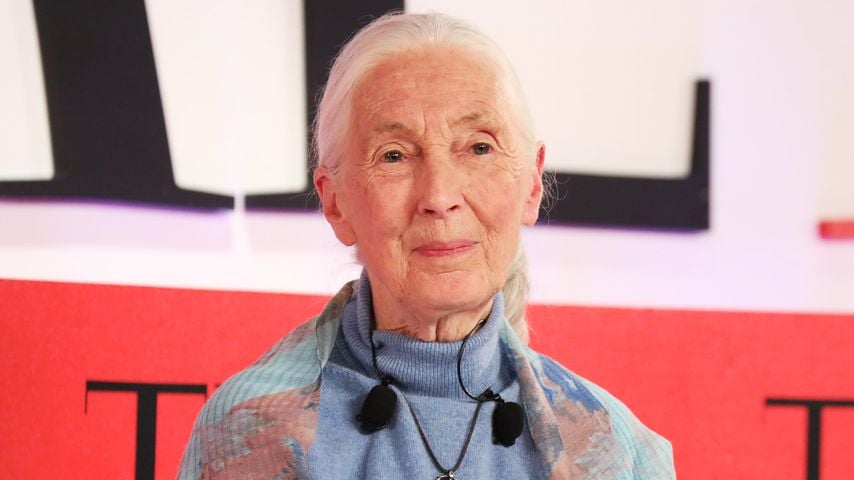 Jane Goodall auf einer Veranstaltung im April 2019 in New York