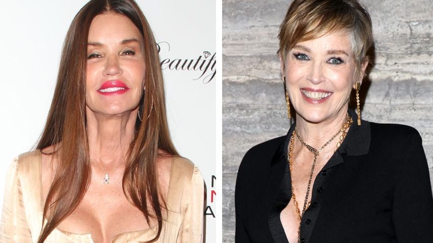 "Nie gesagt": Janice Dickinson stärkt Sharon Stone Rücken