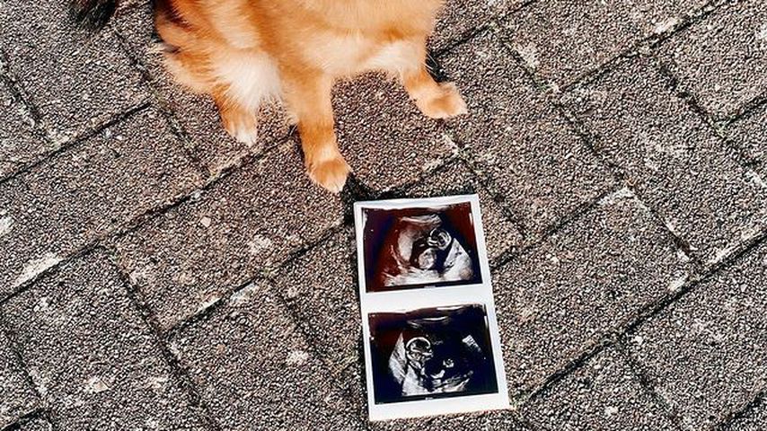 Ultraschallbild von Janine Christin Wallats Baby
