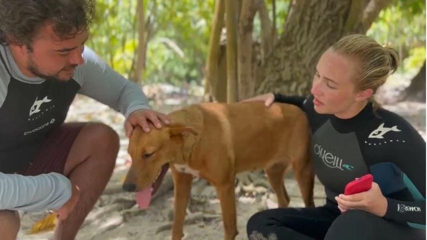 Jansen und Hayden Panettiere, Schauspieler
