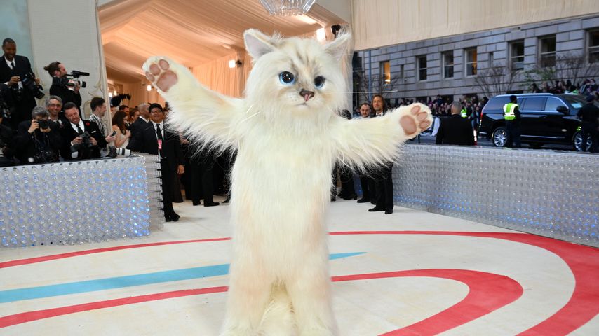 Jared Leto in einem Katzenkostüm