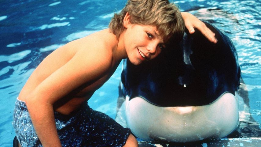 "Free Willy"-Comeback: Russos verfilmen 90er-Klassiker neu