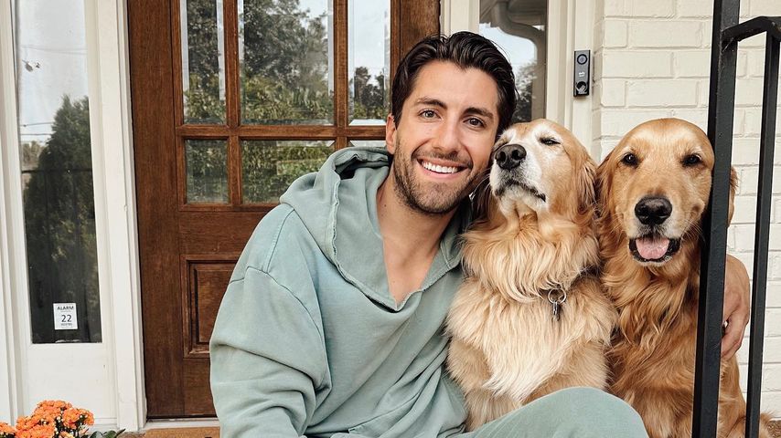 Jason Tartick, TV-Persönlichkeit