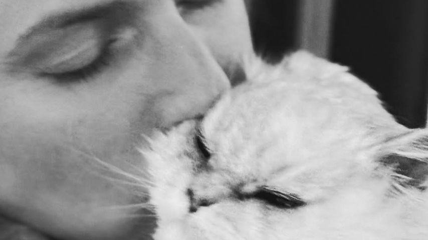 Jeanette Biedermann mit ihrer Katze Shiva