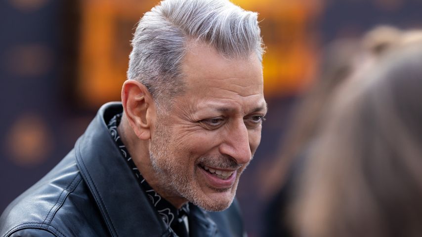 Jeff Goldblum, "Jurassic Park"-Star