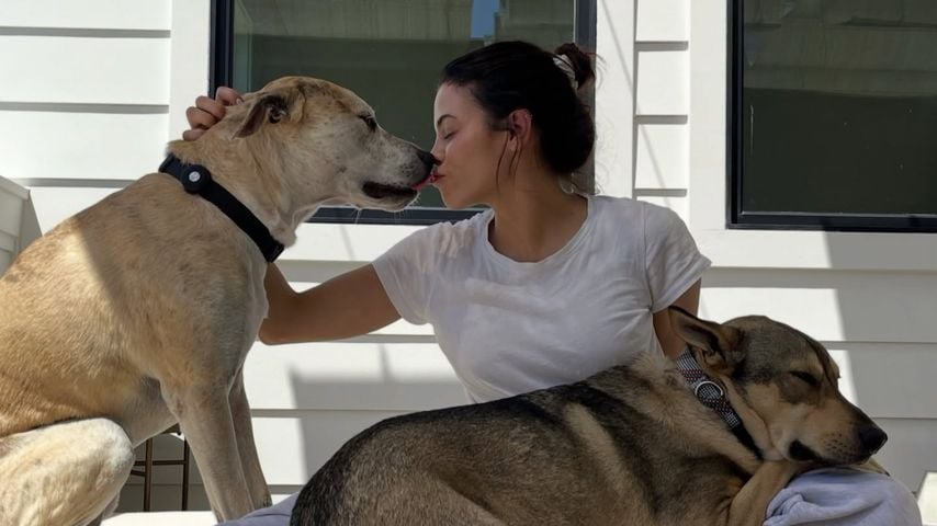Schauspielerin Jenna Dewan mit zwei von drei Hunden