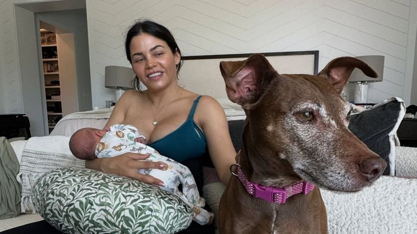 Drei Kids & drei Hunde: Jenna Dewan liebt ihre große Familie