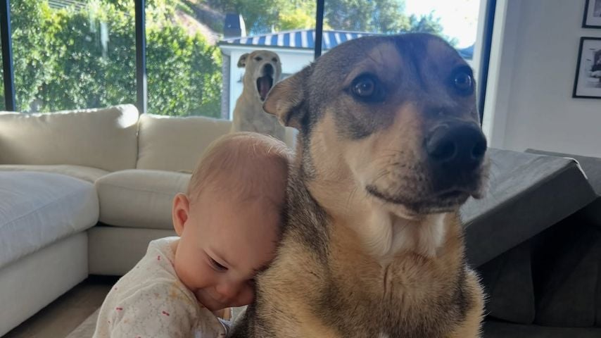 Jenna Dewans Kind und Hund