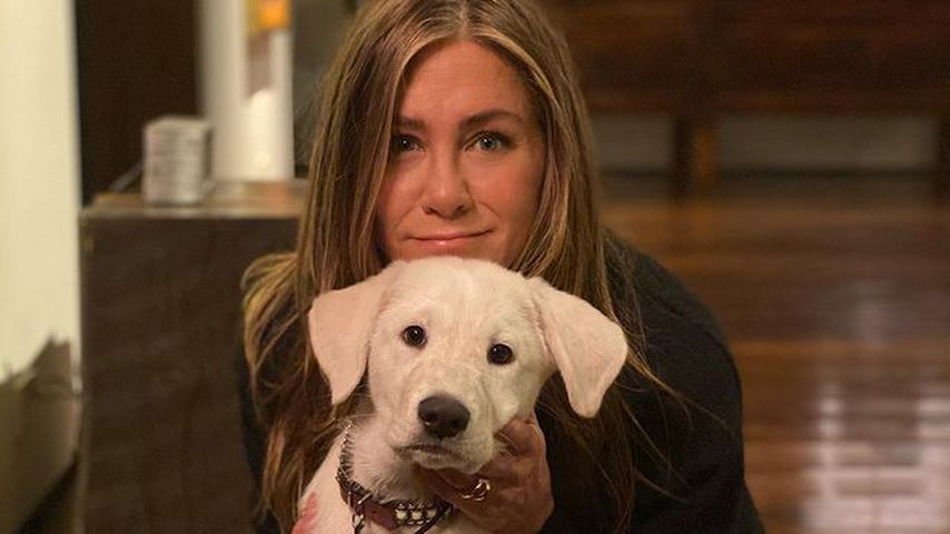 Jennifer Aniston und Lord Chesterfield