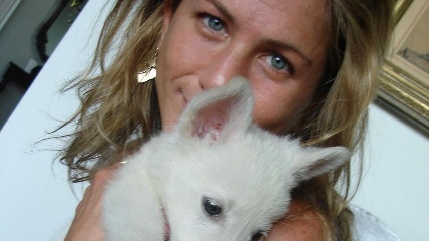 Instagramfoto von Jennifer Aniston mit Hund Dolly