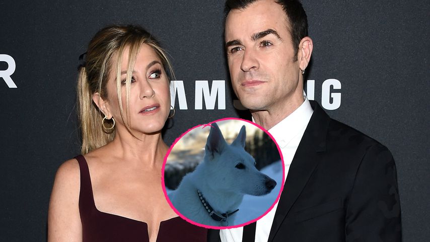 Jennifer Aniston & Justin Theroux trauern zusammen um Hund!