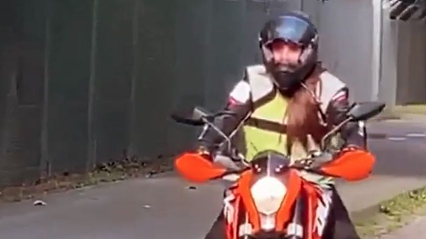 Jenny Frankhauser auf dem Motorrad, Juli 2020
