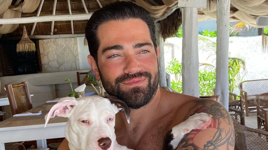 Jesse Metcalfe, Schauspieler