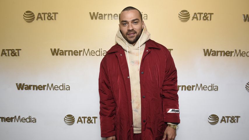 Jesse Williams, Schauspieler