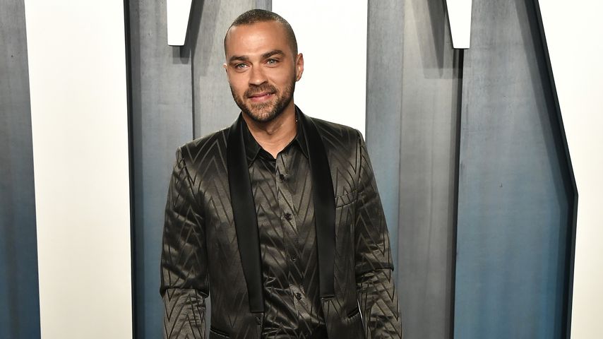 Jesse Williams, Schauspieler