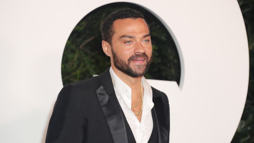 Jesse Williams, Schauspieler