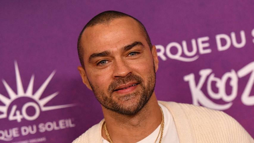Jesse Williams, Schauspieler