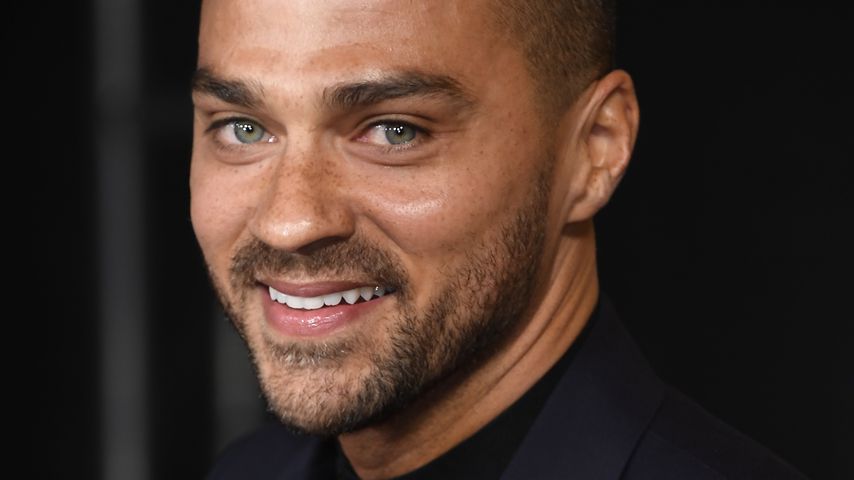 Jesse Williams, Schauspieler