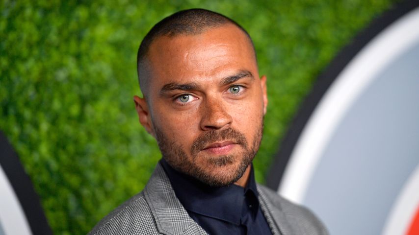Jesse Williams, Schauspieler