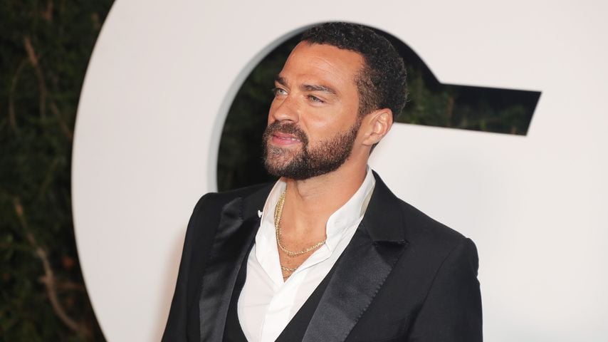Jesse Williams, Schauspieler