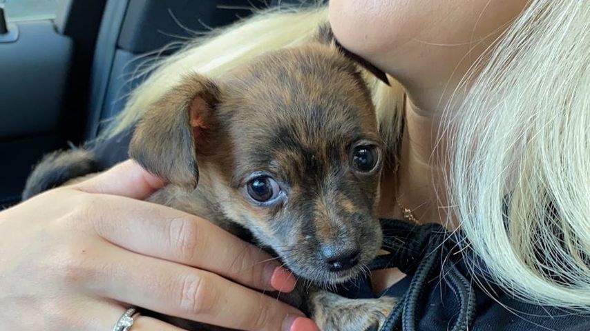 Jessica Schröder mit ihrem Hund Cookie