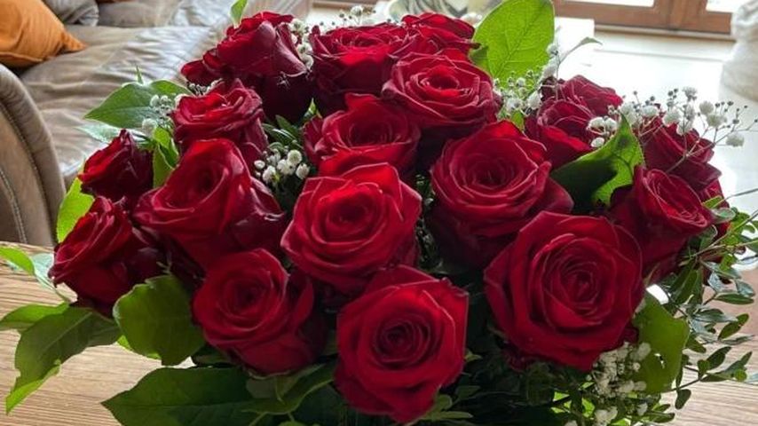 Jesy Nelsons Strauß Rosen