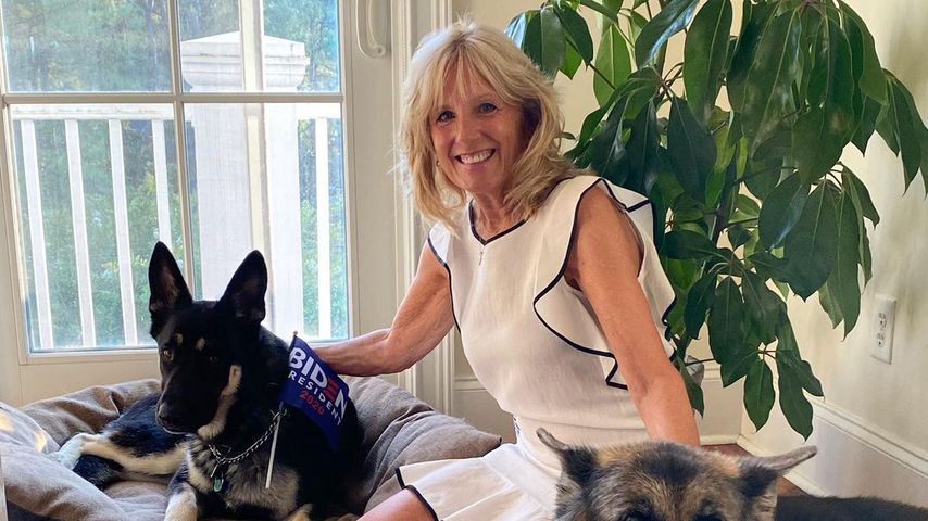 Jill Biden mit den Hunden Major und Champ, 2020