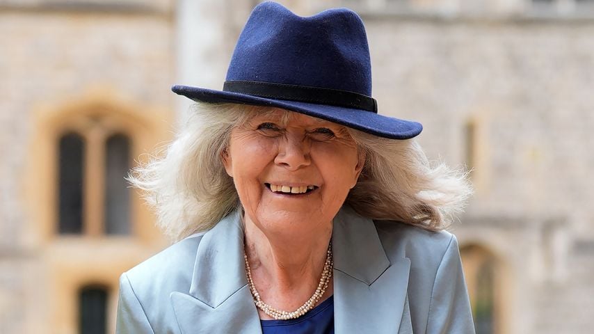 Jilly Cooper, Autorin
