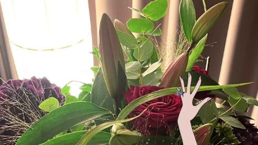 Jimi Blue Ochsenknechts Blumen für Laura Marie Geissler