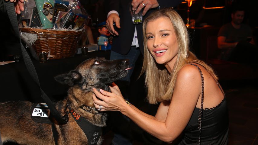 Joanna Krupa im November 2018