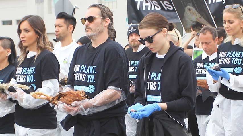 Joaquin Phoenix und Rooney Mara bei einer Demo in Los Angeles, Juni 2019