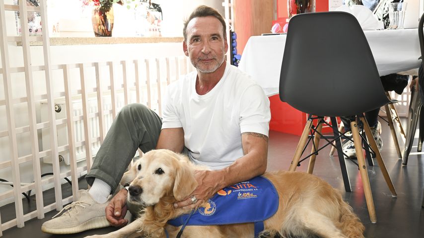 Jochen Bendel gründet Akademie für Hunde an der Nordseeküste