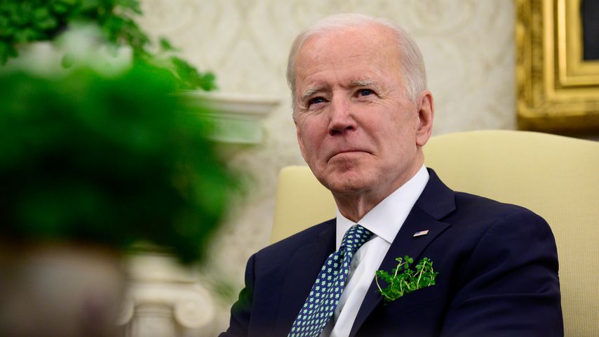 Nach "Beißvorfall": Bidens Hunde zurück im Weißen Haus