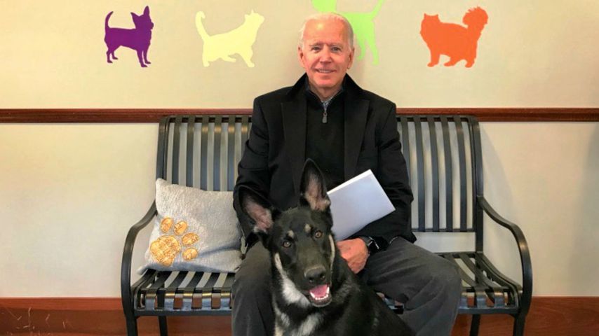 Joe Biden und sein Hund Major