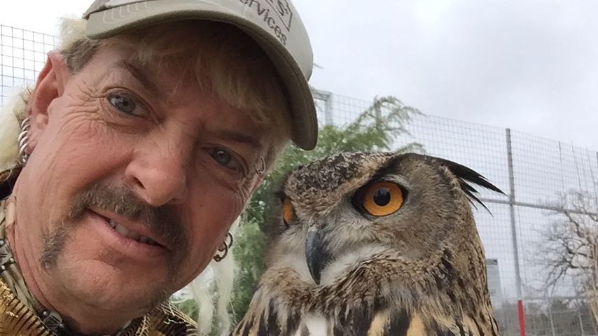 Joe Exotic, 2017