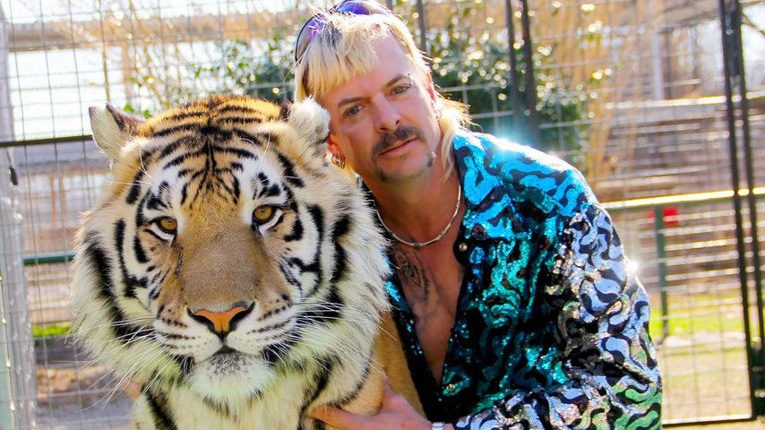 Joe Exotic kuschelt mit einem Tiger in "Tiger King"