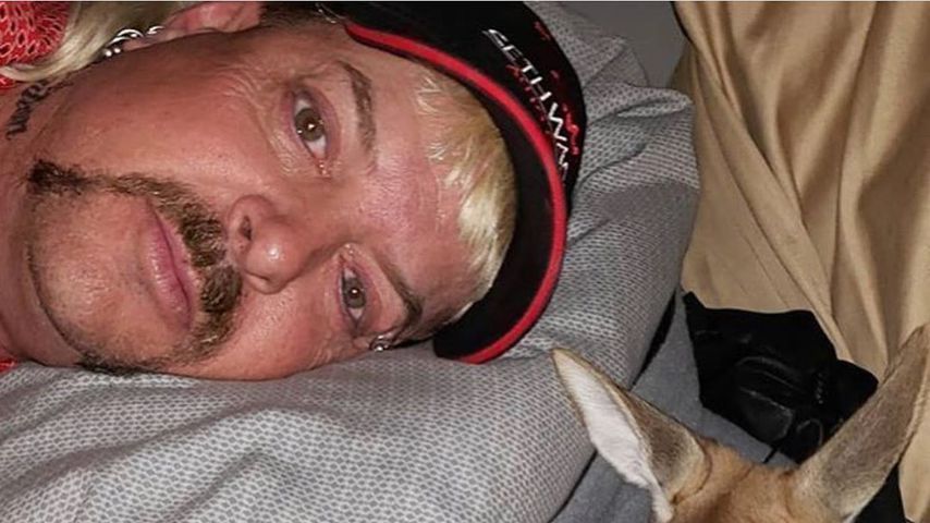 Joe Exotic, "Tiger King"-Star