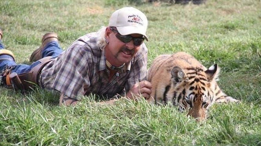 Joe Exotic, "Tiger King"-Star