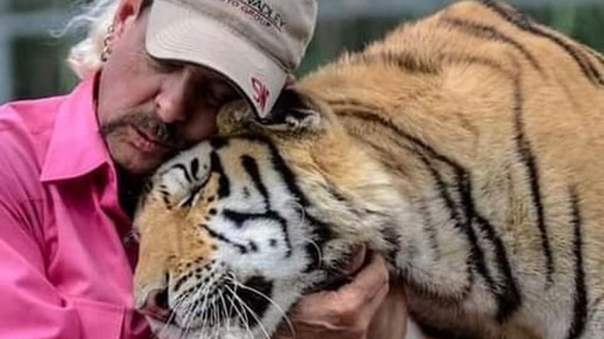 Joe Exotic, Netflix-Star