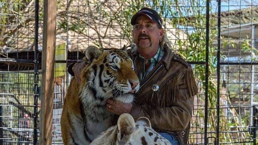 Jetzt Tierschützer? Joe Exotic ist gegen Tiere in Käfigen