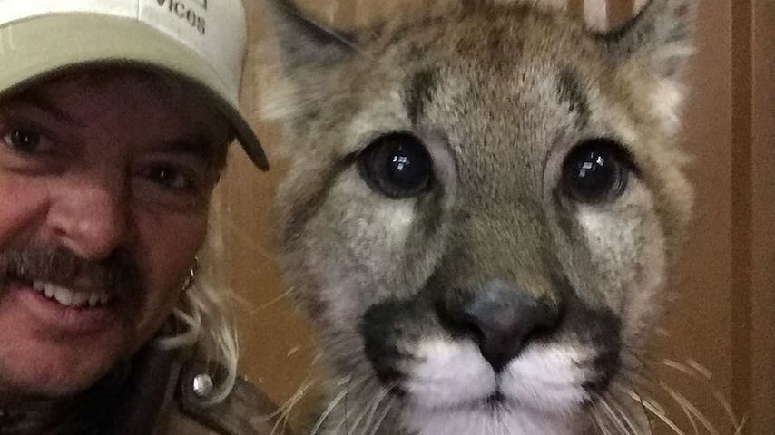 Joe Exotic und ein Löwe