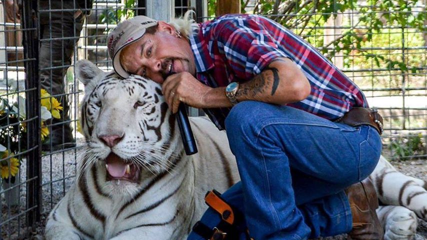 "Tiger King"-Star Joe Exotic wurde aus Einzelhaft entlassen
