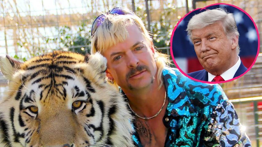 Nicht begnadigt: Das sagt Joe Exotic zu Trumps Entscheidung