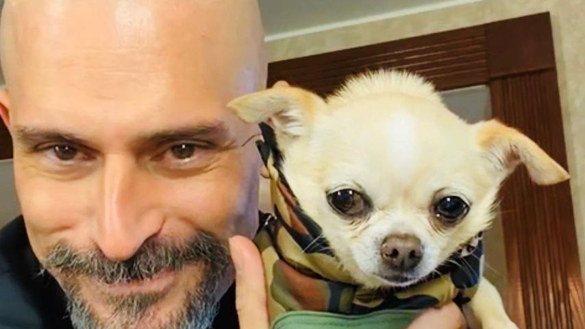Joe Manganiello im Dezember 2020