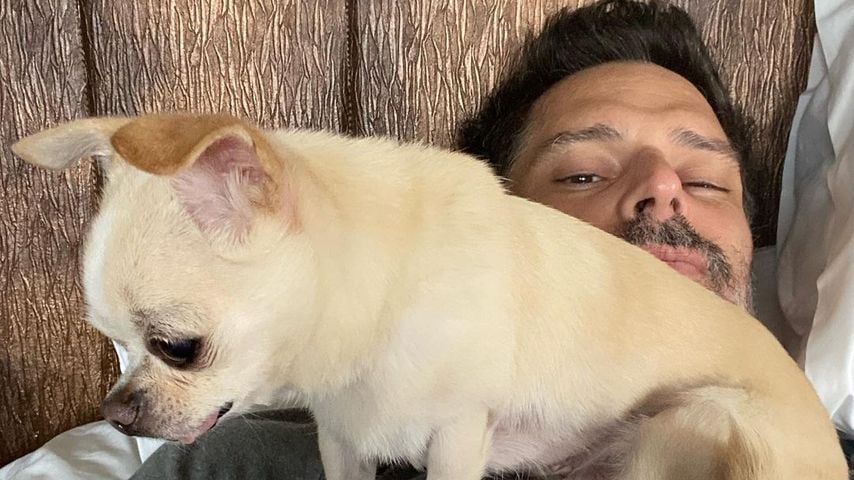 Joe Manganiello mit seinem Hund Bubbles