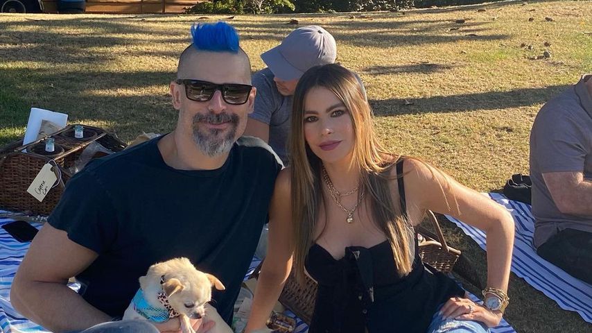 Joes blaue Haare: Das denkt seine Frau Sofia Vergara darüber